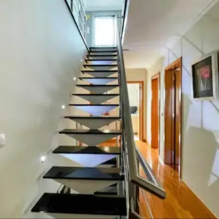 Urban Park House